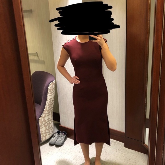 Alexander McQueen Carmine Bug Sheath Dress size 38 - Picture 1 of 7